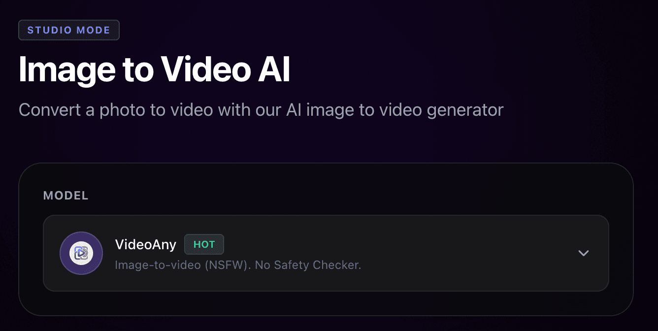 VideoAny espaço de trabalho imagem-vídeo